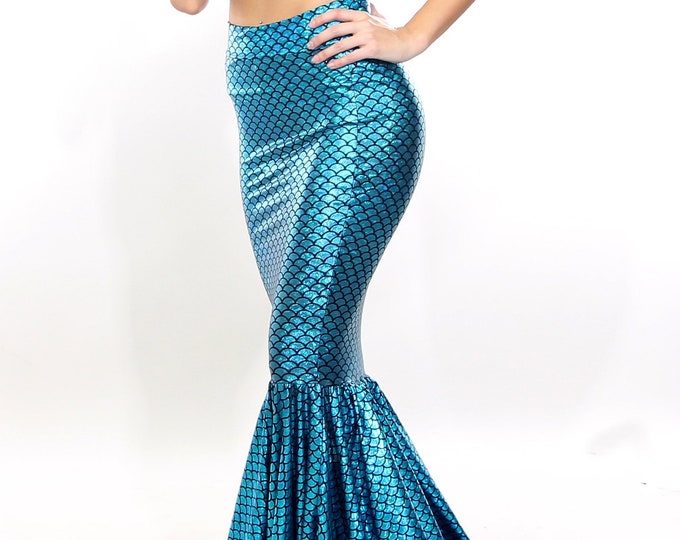 Multicolor Embroidered Skimpy Top Paired Embroidered Mermaid Skirt With Back Trail main image 0