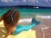 Mermaid Tail  Walkable/Swimmable with Invisible Zipper Bottom !Add Monofin/Add Bikini www.tailzmermaidgear.com! 