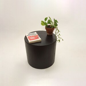 May include: A dark brown wooden side table with a book titled "The Nickel Boys" by Colson Whitehead on top. A small potted plant with green leaves is also on the table.