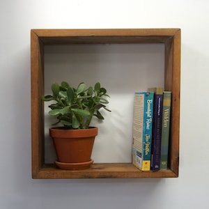 May include: A square wooden wall shelf containing a green jade plant in a terracotta pot and three books titled Beautiful Ruins, Where Do We Go From Here, and Walden. The shelf is constructed from medium-toned wood with visible grain and joints.