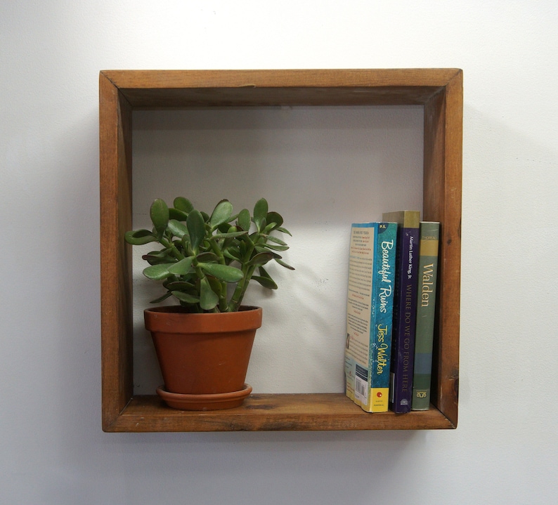 May include: A square wooden wall shelf containing a green jade plant in a terracotta pot and three books titled Beautiful Ruins, Where Do We Go From Here, and Walden. The shelf is constructed from medium-toned wood with visible grain and joints.