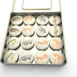 Woodland Animals Magnet Set
