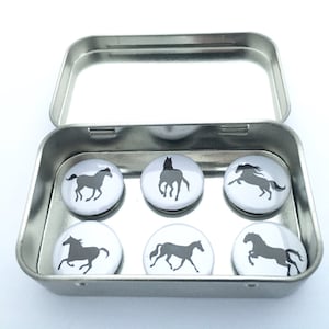 Horse Magnet Set, gifts for equestrians and horse lovers