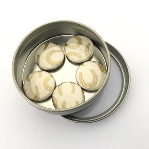 Horseshoe Magnet Set