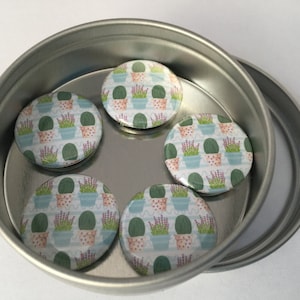 Ensemble d’aimant de cactus