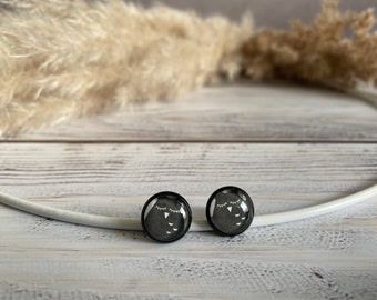Cute stud earrings with sleeping black owls, black and white, in black setting