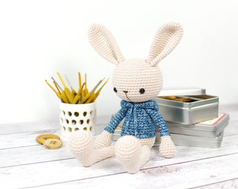 PATTERN: Bunny in a Hoodie - Crochet pattern - Amigurumi tutorial with photos (EN-062)