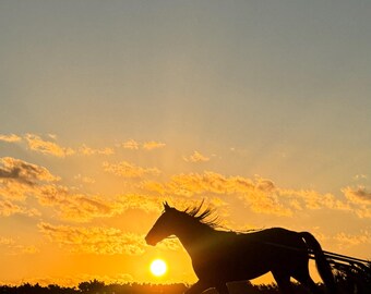 Sunset Horse Silhouette – Country Nature Print | Western Wall Decor | Digital Download”