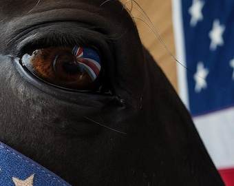 Reflections of Freedom – American Flag in Horse’s Eye Print