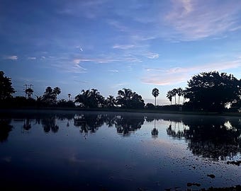 Early Morning Calm – Sunrise Reflection with Palms Digital Wall Art