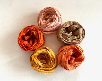 5 Color Sari Silk Sampler - Recycled Silk Sari Ribbon - 5 Multi Warm Colors, 2 Yds Each, 10 Yds Total Journaling Ribbon