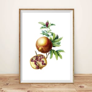 Pomegranate Print, Pomegranate Decor Print, Pomegranate Wall Art, Watercolor Print, Kitchen Print Art, Kitchen Decor, Digital Download Print