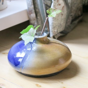 Może przedstawiać: Mały, okrągły wazon ceramiczny z niebieską i brązową glazurą. Wazon jest wypełniony pojedynczą zieloną rośliną.