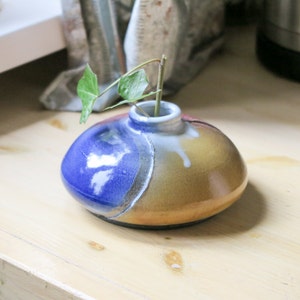 Może przedstawiać: Mały, okrągły wazon ceramiczny z niebieską i brązową glazurą. Wazon ma mały otwór na górze i stoi na drewnianej powierzchni. Mała zielona roślina rośnie z wazonu.