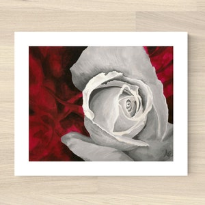 White Rose Art Print