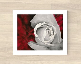White Rose Art Print
