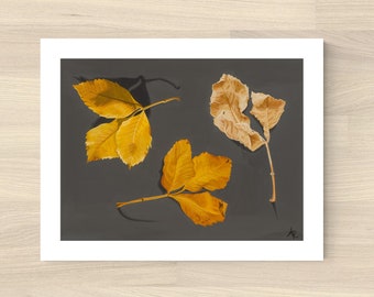 Leaf Cycle Art Print