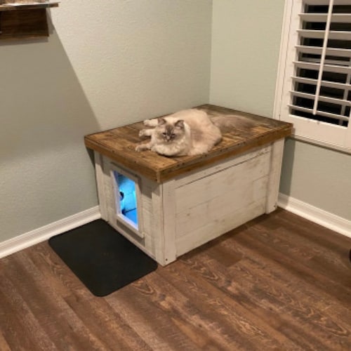 cat box bench