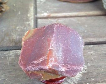 On Sale Fossil Wood Petrified Wood Raw Natural Rainbow