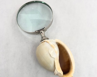 Handheld Magnifying Glass with Sea Shell Handle Seashore Decor