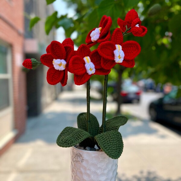 Crochet Orchid Etsy