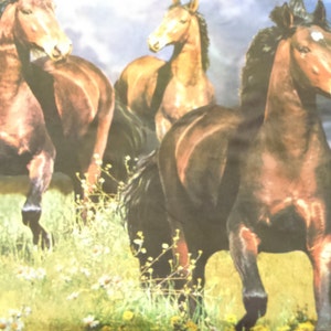 Fabric Horse large Photo print 29&quot;x35&quot; (75x90cm) Digital photo fabric Cotton Fabric Scandinavian Design Scandinavian Textile