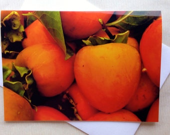 Thanksgiving Greeting Cards - Fall Cards - Holiday Cards