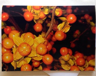 Thanksgiving Greeting Cards - Fall Cards - Fall Florals - Holiday Cards - Bittersweet