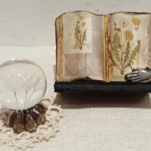 Może przedstawiać: Miniaturowa otwarta książka z ilustracjami mniszka lekarskiego, szklana kula zawierająca nasiona mniszka lekarskiego i dekoracyjna metalowa dłoń. Książka spoczywa na czarnej półce, a kula na podstawie w kształcie kwiatu.