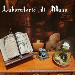 Dollhouse Garlic Plant in Glass Dome, Miniature Book of Magic against Vampires and Witches, 1:12 Scale