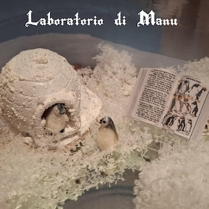 Może przedstawiać: Miniaturowa diorama przedstawiająca zaśnieżony krajobraz z małym igloo, dwiema figurkami pingwinów i otwartą książką zatytułowaną "Penguins". Tekst "Laboratorio di Manu" jest wygięty nad sceną. Scena znajduje się na odblaskowej powierzchni.