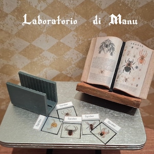 Puede incluir: Escena en miniatura con un atril con un libro abierto que muestra ilustraciones de arañas. Varias tarjetas con imágenes de arañas están sobre una mesa plateada, junto con un objeto gris ranurado. El texto "Laboratorio di Manu" está en la parte superior.