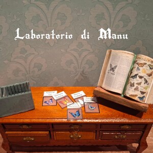 Puede incluir: Una mesa de madera con una colección de especímenes de mariposas, un libro titulado "Butterflies of the World" y un letrero que dice "Laboratorio di Manu".