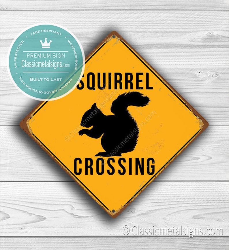 SQUIRREL CROSSING SIGN Squirrel Crossing Signs Squirrel - Etsy