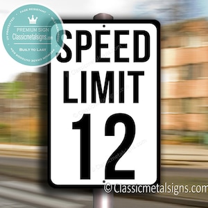 SPEED LIMIT 12 sign, 12 mph sign, 12th Birthday Gift, 12th Birthday, Speed Limit Signs, Party Signs, 12th Birthday Sign, 12th Birthday Decor