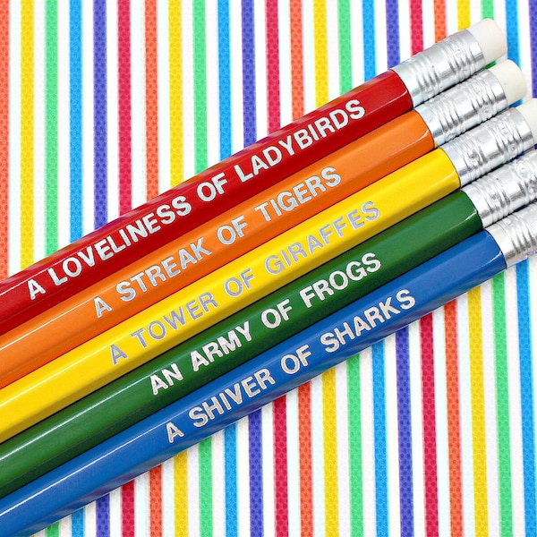 Animal Nouns Pencil Set – Fun Puns, Teacher Gift