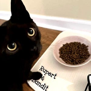 Personalized Pet Placemat - Cat Feeding Mat - Cat Bowl Mat - Pet Feeding Mats - Pet Food Mats - Personalized Cat Mat - Pet Feeding Supplies
