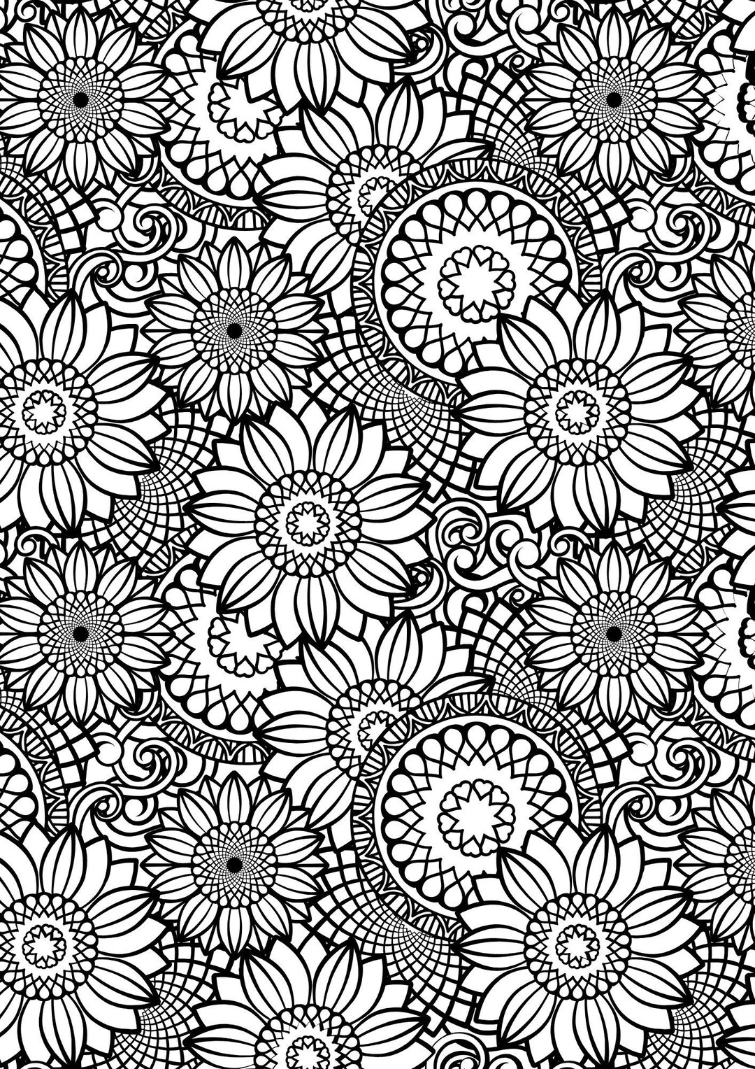 20 Mandala Ausmalbilder Für Erwachsene | PDF Download | Entspannung