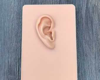 Ear with Background in Different Sizes