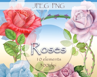 digital clipart • roses • watercolor print • set flowers, leaves, branches • 10 elements of 300 dpi on a transparent background