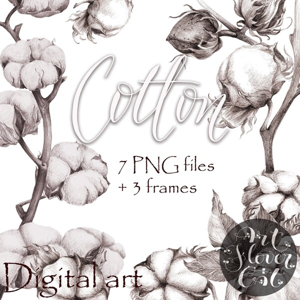 Cotton Clipart Image Print Branch of cotton graphics drawing Digitized on a transparent background