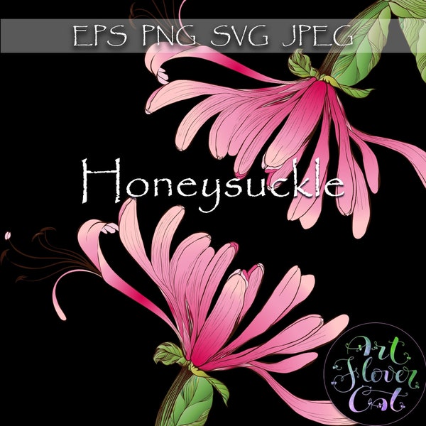 Honeysuckle branches • 12x12" • Clipart Print • Graphic on transparent background • Vector drawing