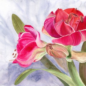 Amaryllis watercolor original artwork  Wall art Home decor Floral painting Flowers picture Gift for him Gift for her Handmade art • 10x13"