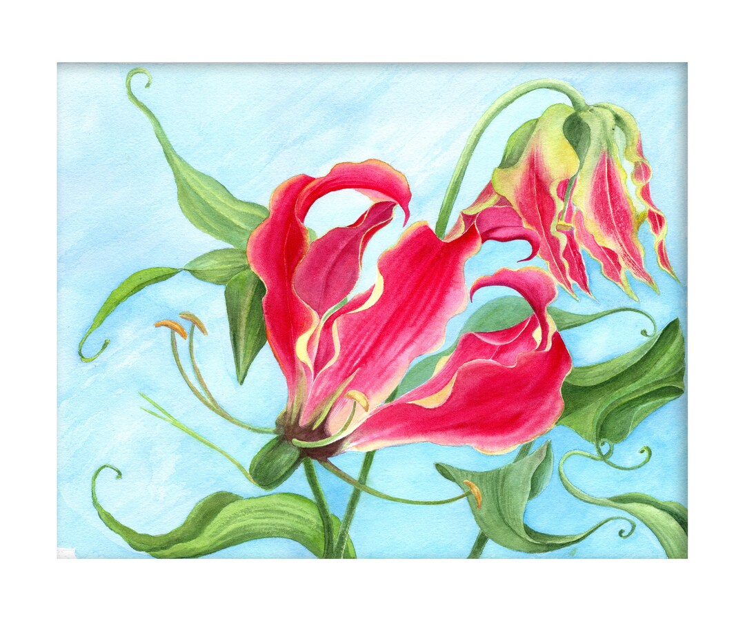 グロリオサ：水彩オリジナルアートワーク • 12x9.5インチ - Etsy 日本