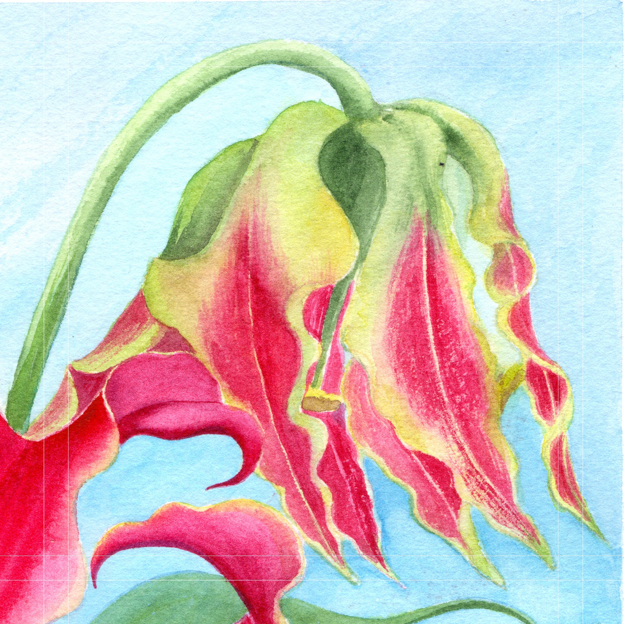 グロリオサ：水彩オリジナルアートワーク • 12x9.5インチ - Etsy 日本