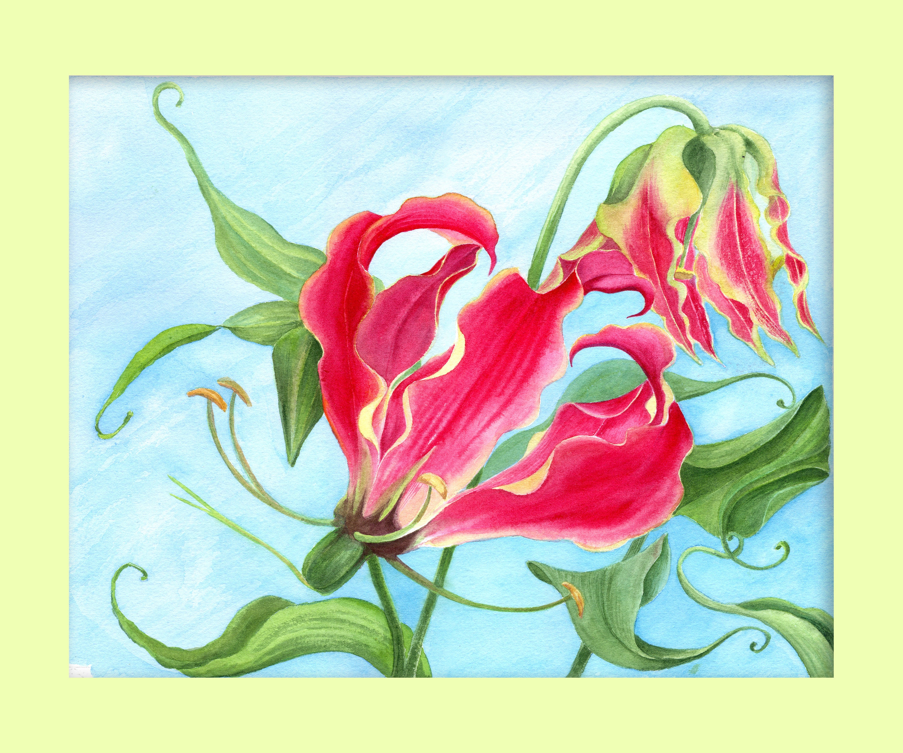 グロリオサ：水彩オリジナルアートワーク • 12x9.5インチ - Etsy 日本