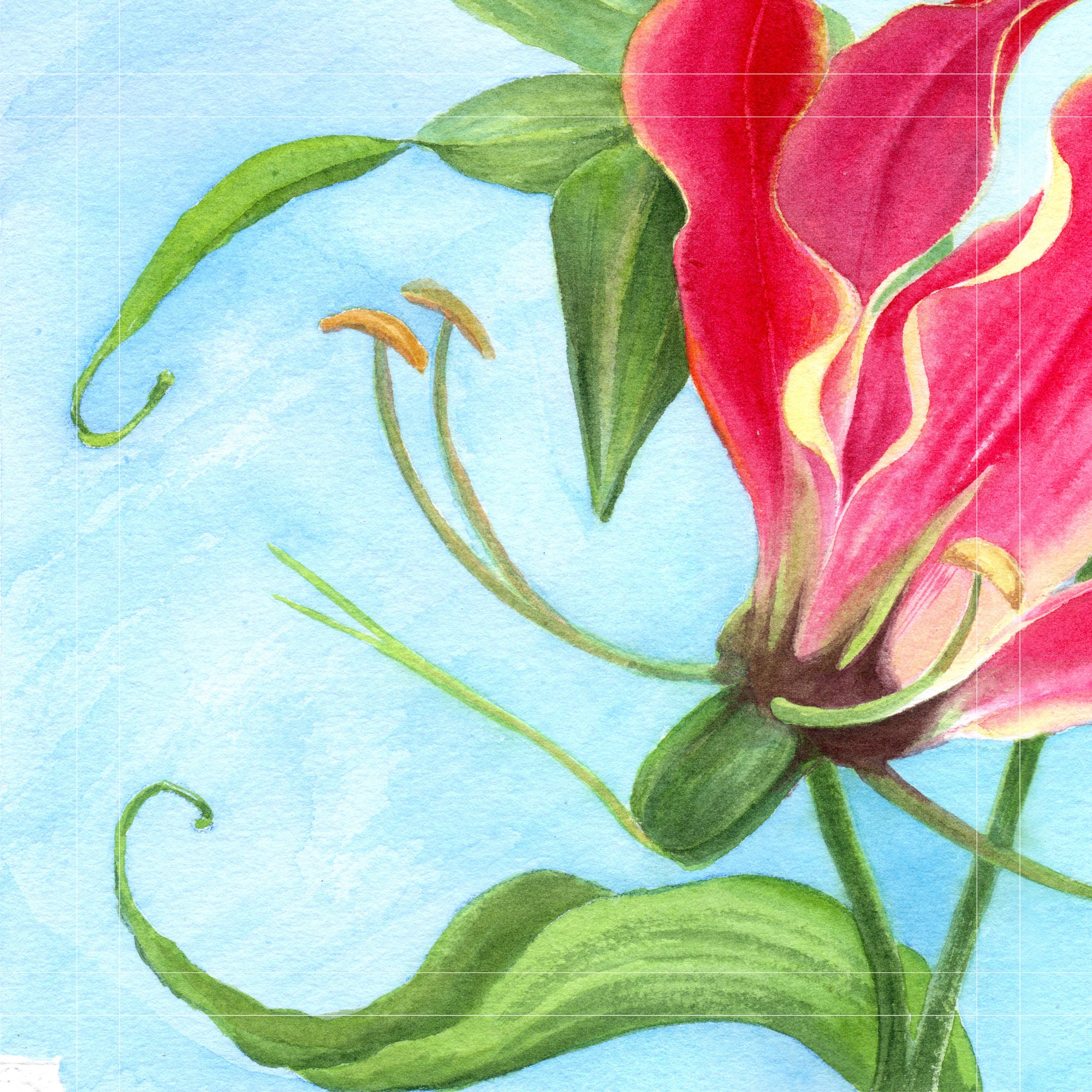 グロリオサ：水彩オリジナルアートワーク • 12x9.5インチ - Etsy 日本