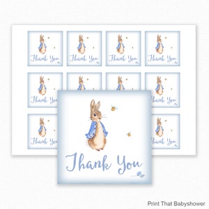 Peter Rabbit Favor Tag Peter Rabbit Baby Shower Printable Favor Tag Favour Tag Peter Rabbit Thank You Tag Peter Rabbit image 1