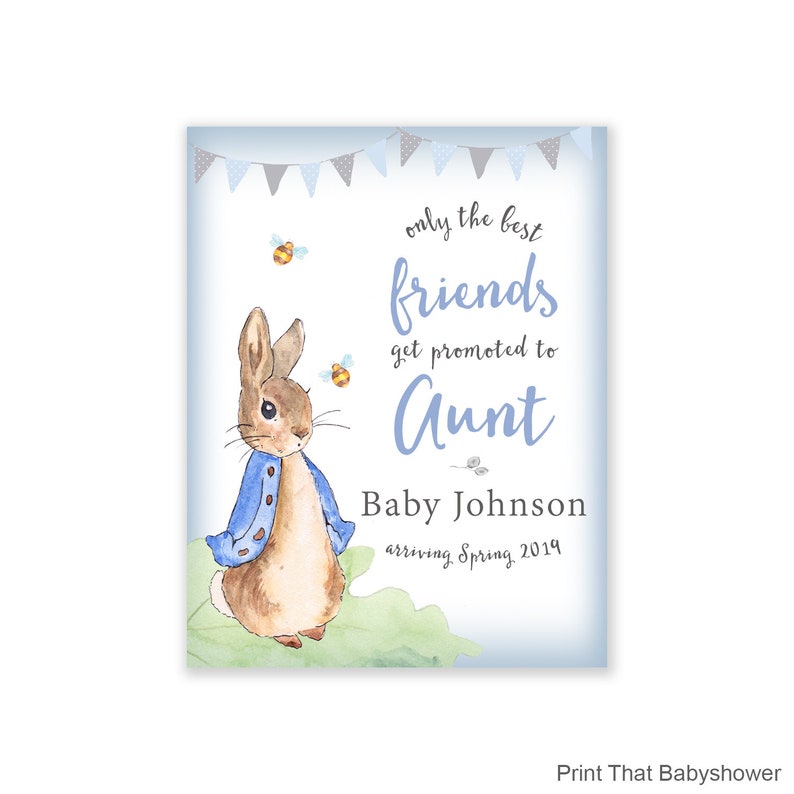 May include: A watercolor print featuring Peter Rabbit with text that reads "only the best friends get promoted to Aunt." The print includes the baby's last name and the expected arrival season and year. The background is light blue with bunting and bees.