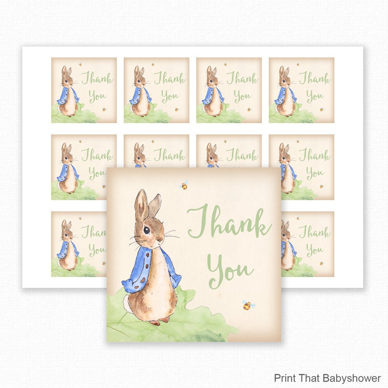 Peter Rabbit Favor Tag Peter Rabbit Baby Shower Printable - Etsy UK